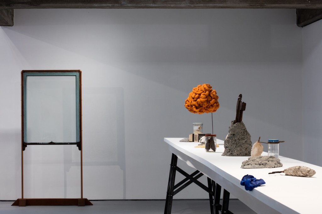 Ireland_Installation8_GregoryGoode