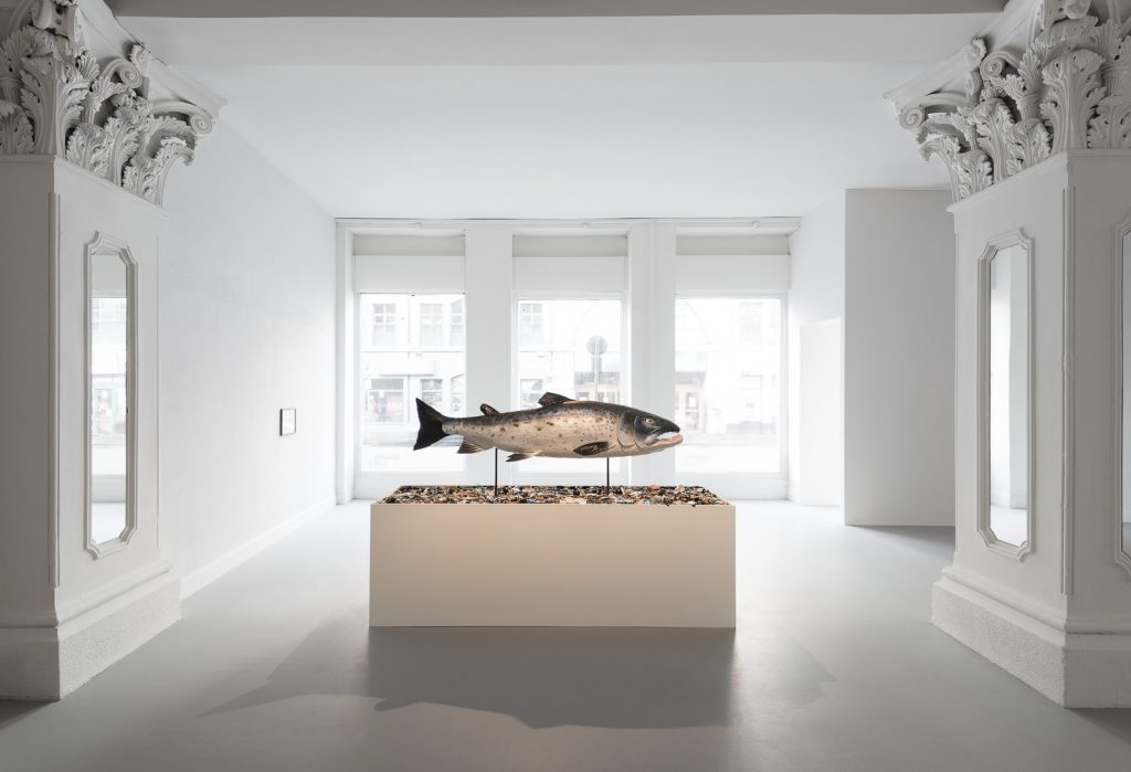 Mark Dion _ Against The Current _ Ormston House, Limerick, Ireland _ Photograph by Jed Niezgoda _ www.venividiphoto.net