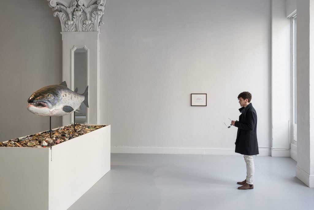 Mark Dion _ Against The Current _ Ormston House, Limerick, Ireland _ Photograph by Jed Niezgoda _ www.venividiphoto.net