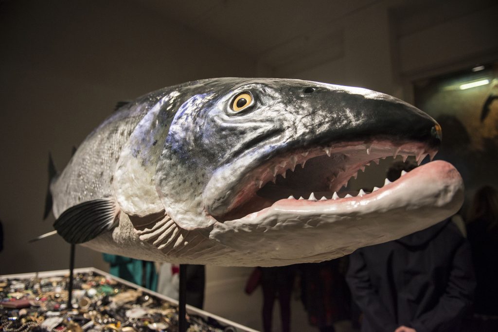 The Salmon of Knowledge Returns (2015) _ Photo Shane Serrano